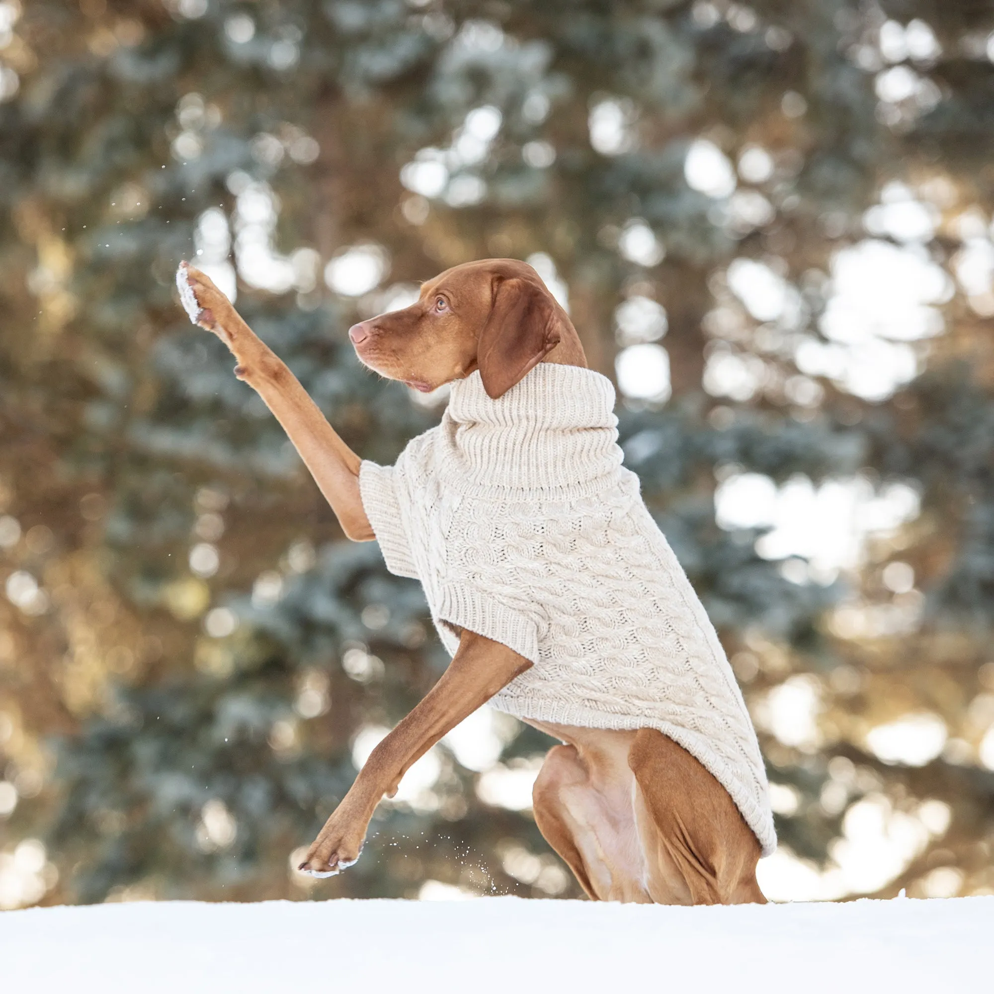 Chalet Sweater - Oatmeal | Cozy & Stylish Dog Knitwear 🐾❄️