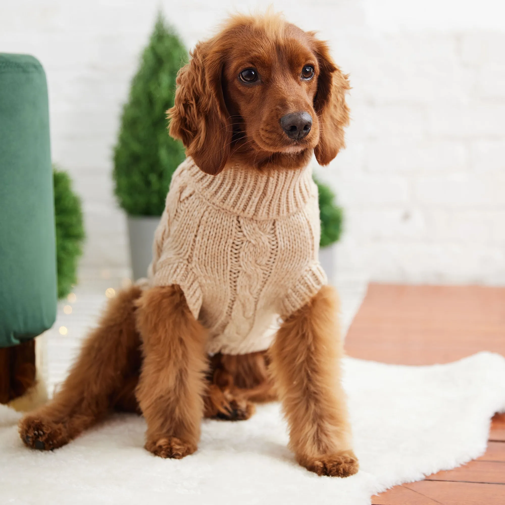 Chalet Sweater - Oatmeal | Cozy & Stylish Dog Knitwear 🐾❄️